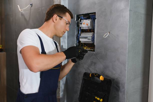 Best Electric Panel Repair  in Mineral Springs, AR